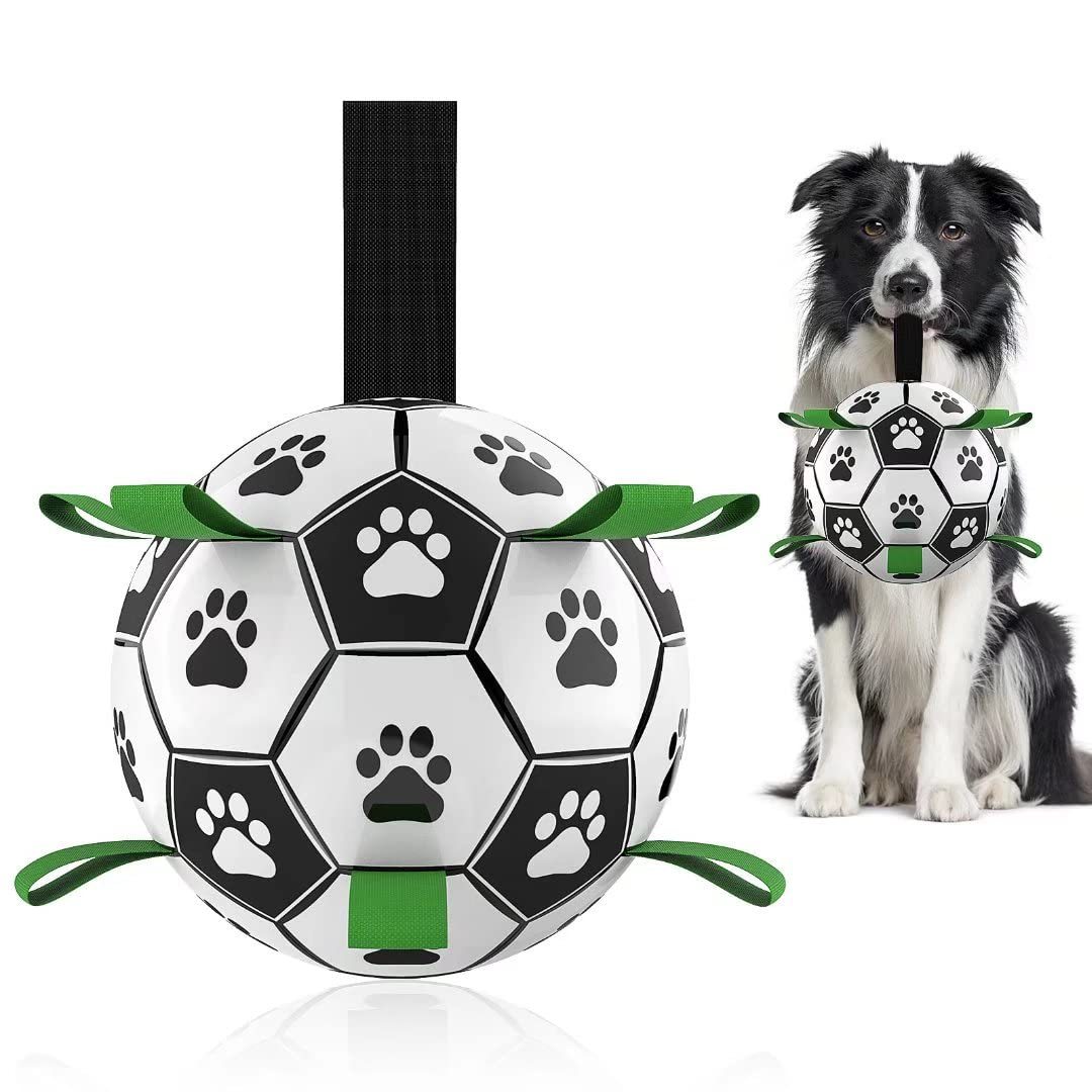 Pelota Interactiva - Inflador de REGALO