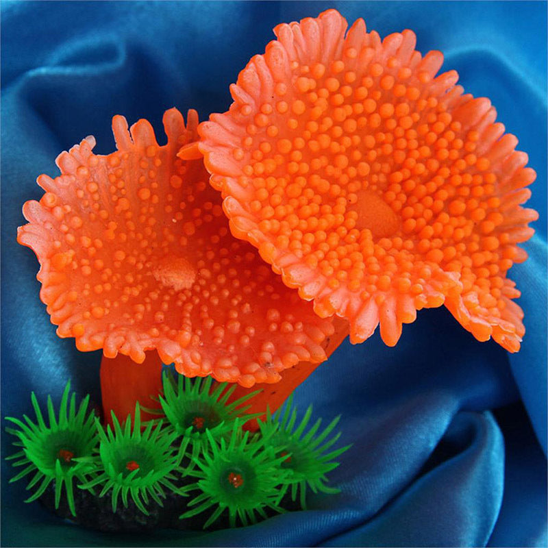 Coral decoración