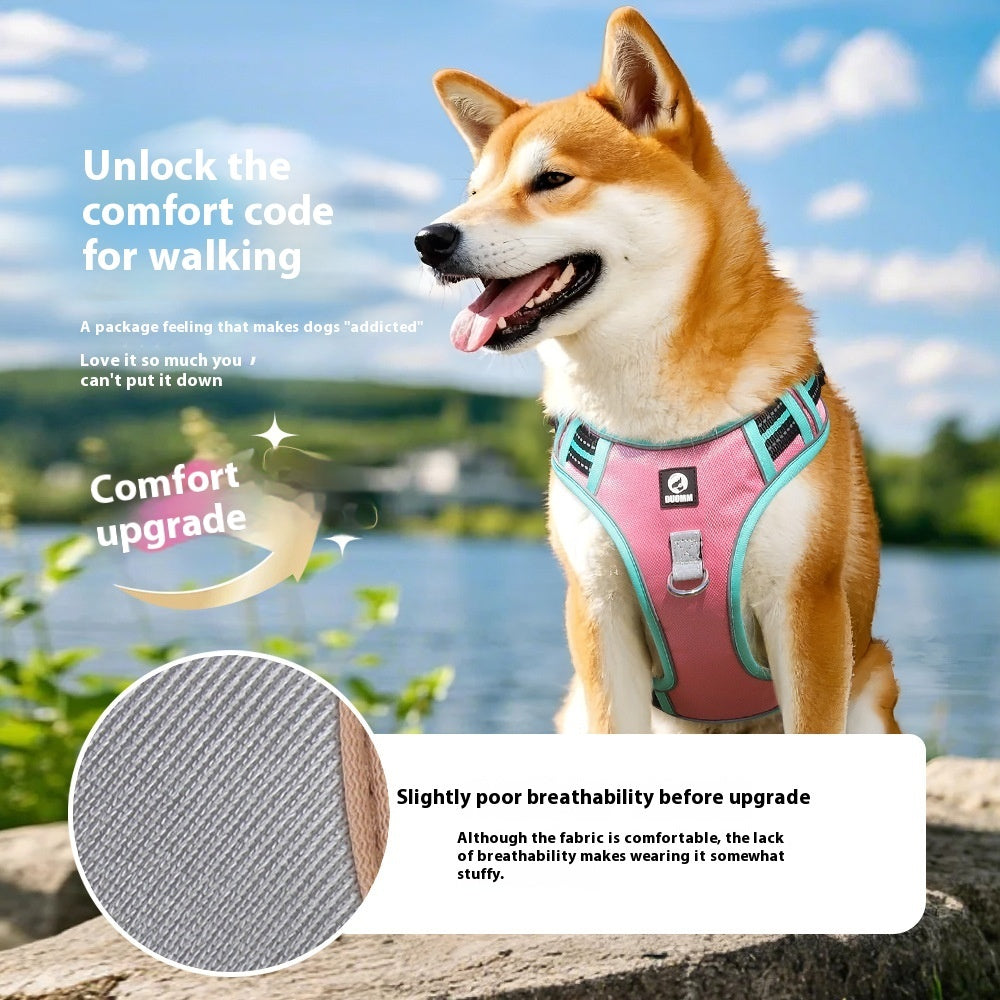 Arnés Tela Oxford + Correa Inluida