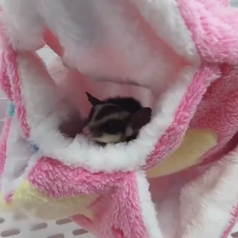 Warm Double Mezzanine Hammock Small Pet Hammock Ha