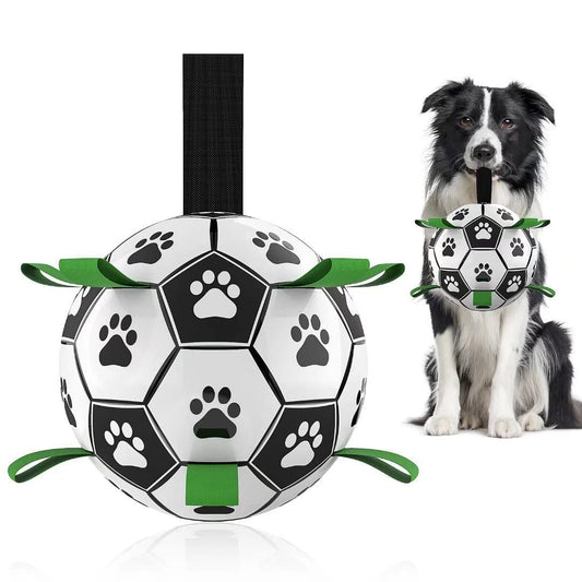Pelota Interactiva - Inflador de REGALO