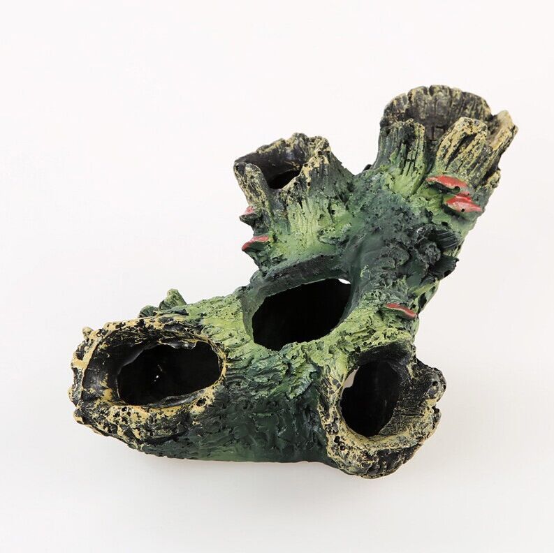 Rama Árbol Decoración