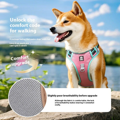 Arnés Tela Oxford + Correa Inluida