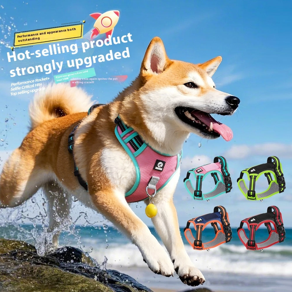 Arnés Tela Oxford + Correa Inluida