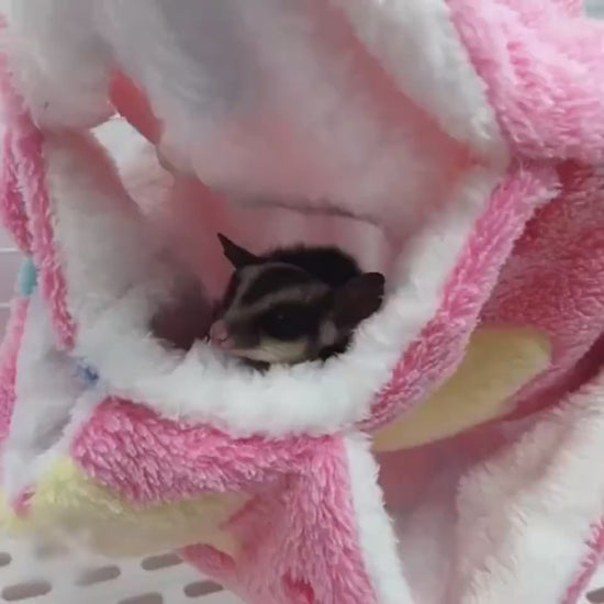 Warm Double Mezzanine Hammock Small Pet Hammock Ha